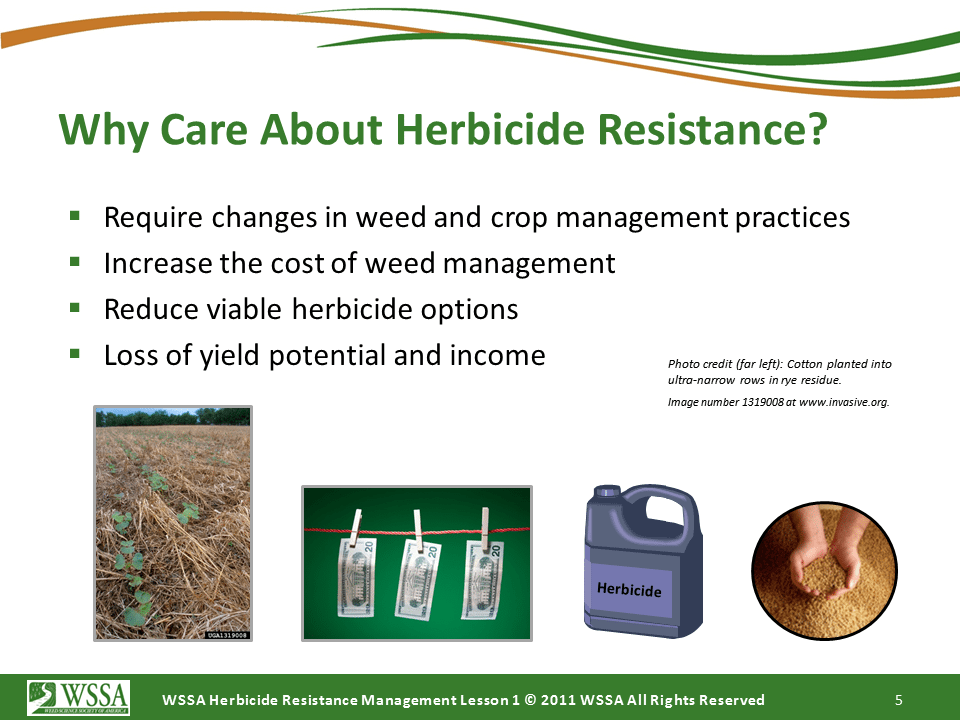 WSSA Lesson1 Slide5 - Current Status of Herbicide Resistance in Weeds