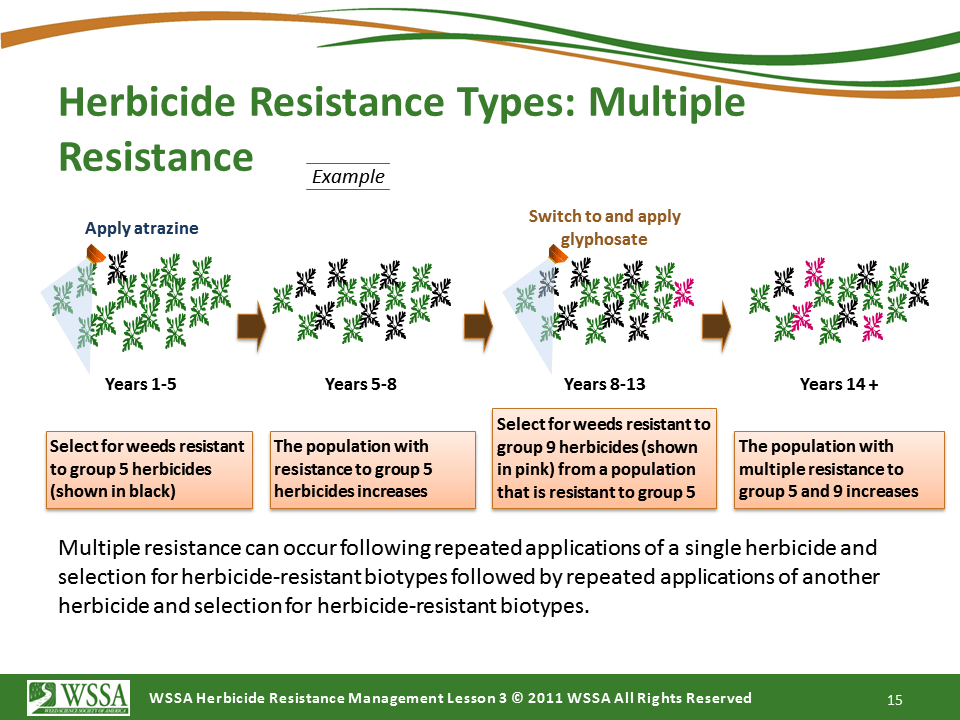 Slide15.PNG lesson3 - What Is Herbicide Resistance?
