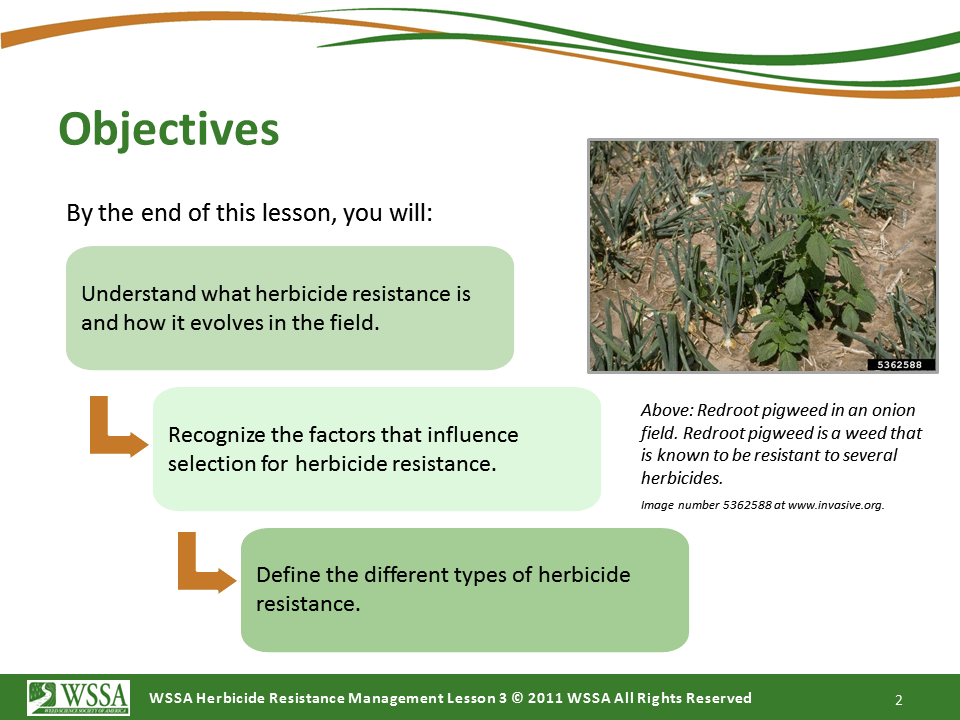 Slide2.PNG lesson3 - What Is Herbicide Resistance?