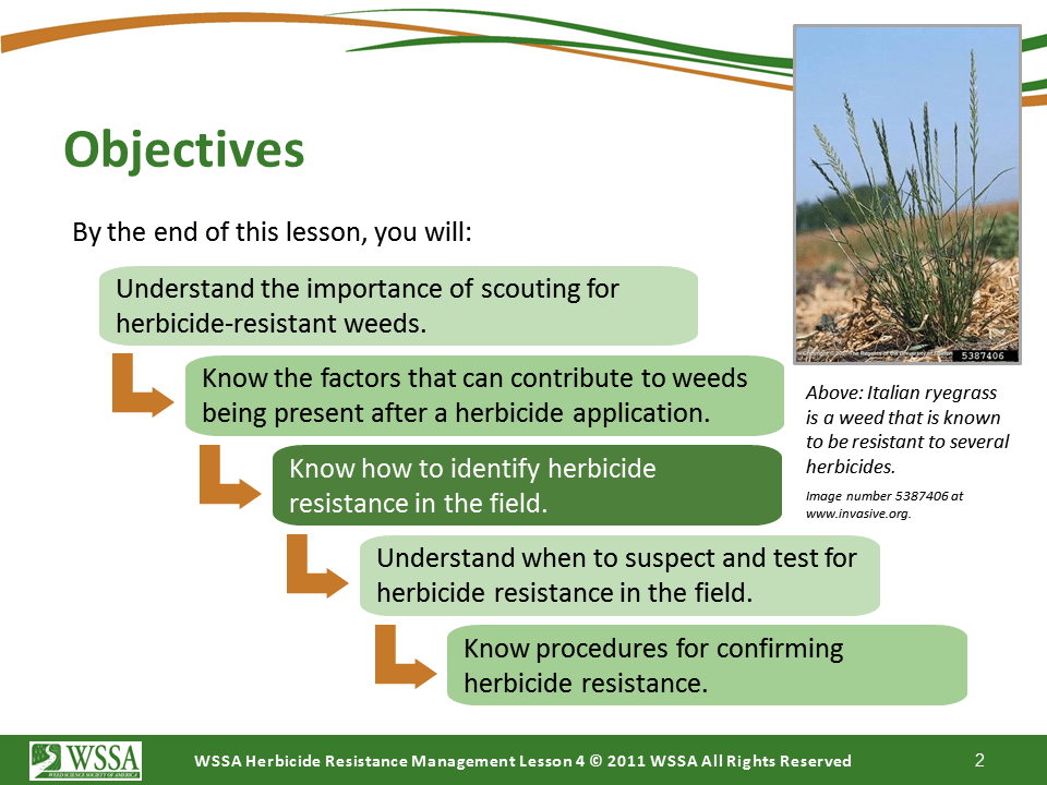 Slide2.PNG lesson4 - Scouting After a Herbicide Application and Confirming Herbicide Resistance