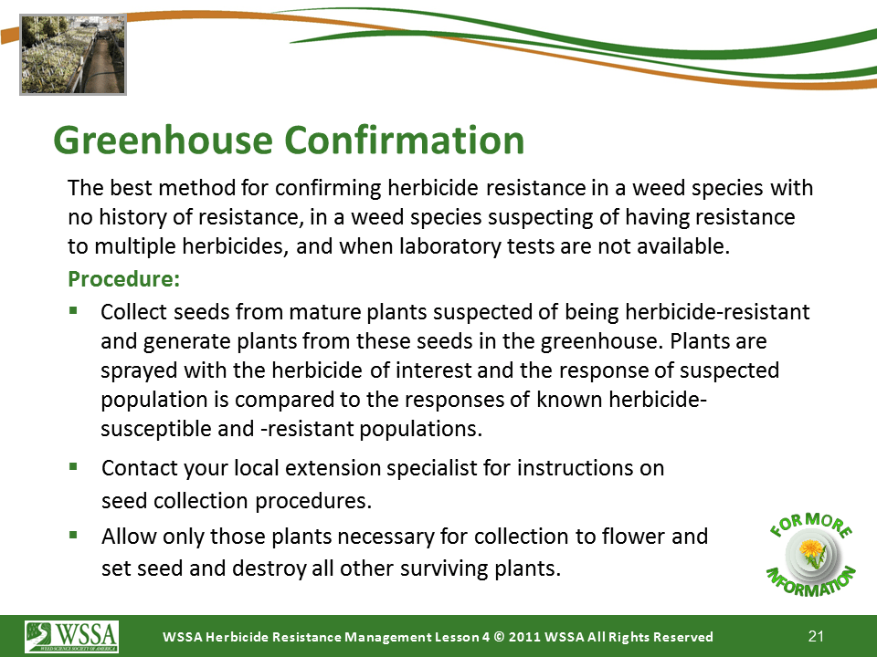 Slide21.PNG lesson4 - Scouting After a Herbicide Application and Confirming Herbicide Resistance