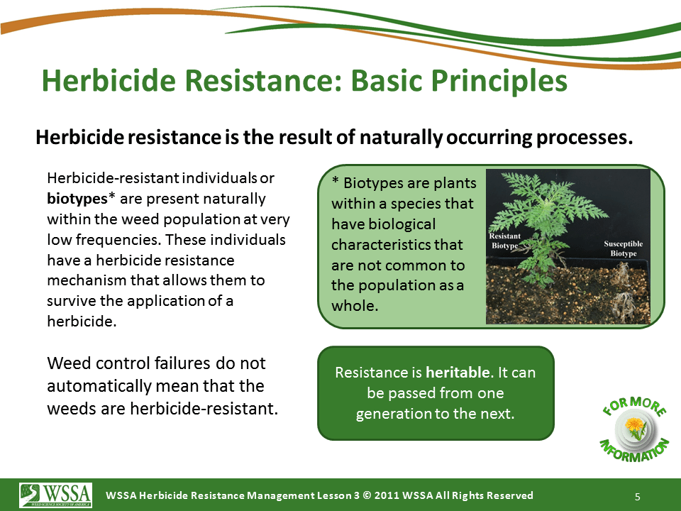 Slide5.PNG lesson3 - What Is Herbicide Resistance?
