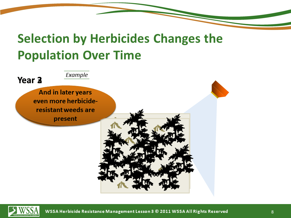 Slide8.PNG lesson3 - What Is Herbicide Resistance?