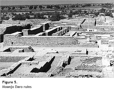 moenjo daro ruins - Cotton Fiber Development and Processing