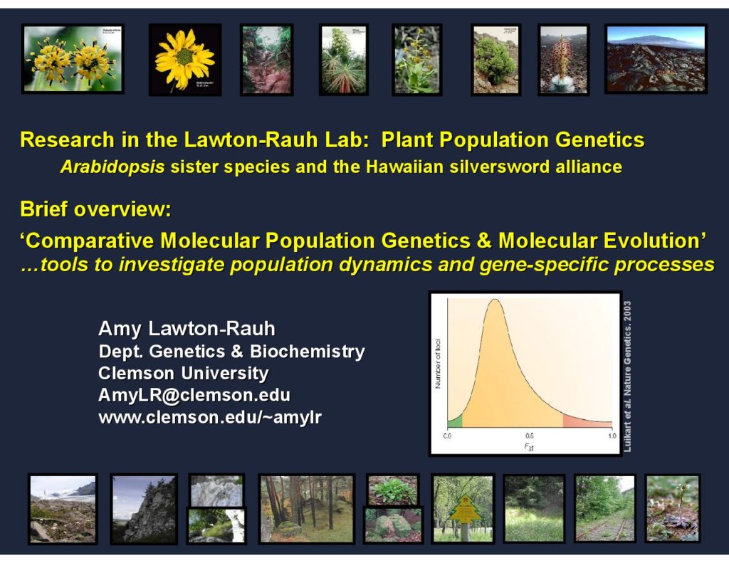 Palmer Amaranth Segregation Lawton 1024x791 - Plant Population Genetics