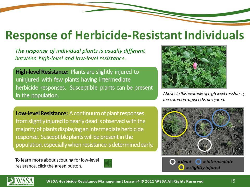 Slide15.PNG lesson4 - Scouting After a Herbicide Application and Confirming Herbicide Resistance