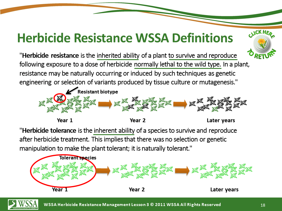 Slide18.PNG lesson3 - What Is Herbicide Resistance?