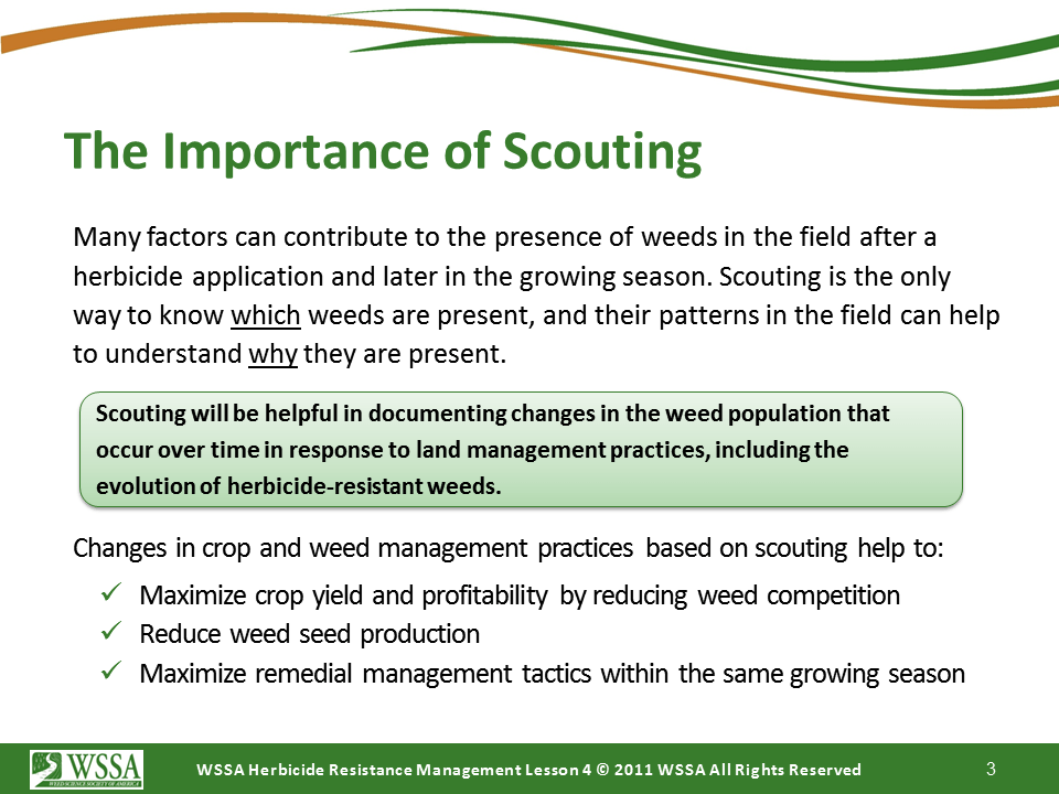 Slide3.PNG lesson4 - Scouting After a Herbicide Application and Confirming Herbicide Resistance