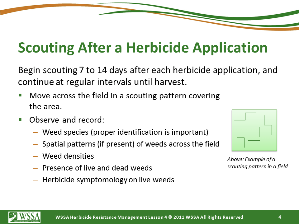Slide4.PNG lesson4 - Scouting After a Herbicide Application and Confirming Herbicide Resistance