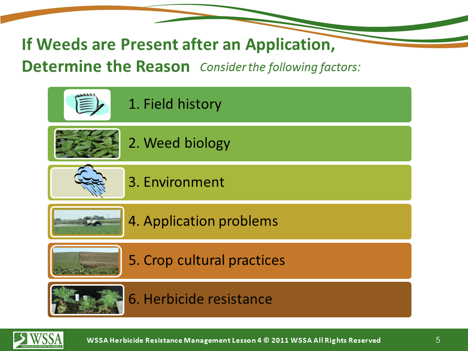 Slide5.PNG lesson4 - Scouting After a Herbicide Application and Confirming Herbicide Resistance