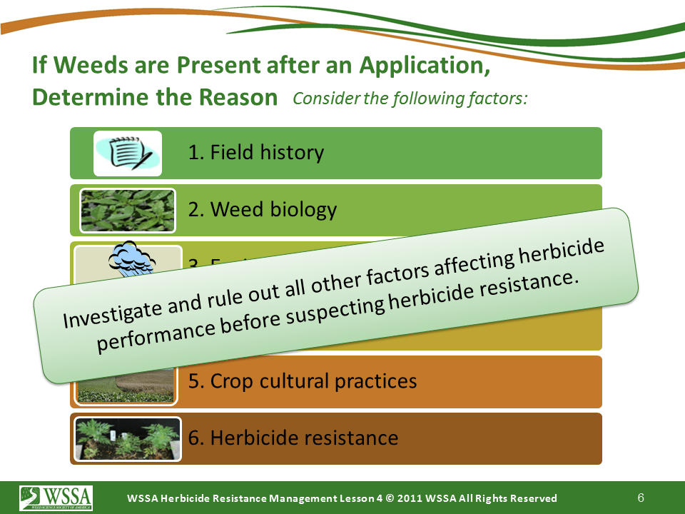 Slide6.PNG lesson4 - Scouting After a Herbicide Application and Confirming Herbicide Resistance