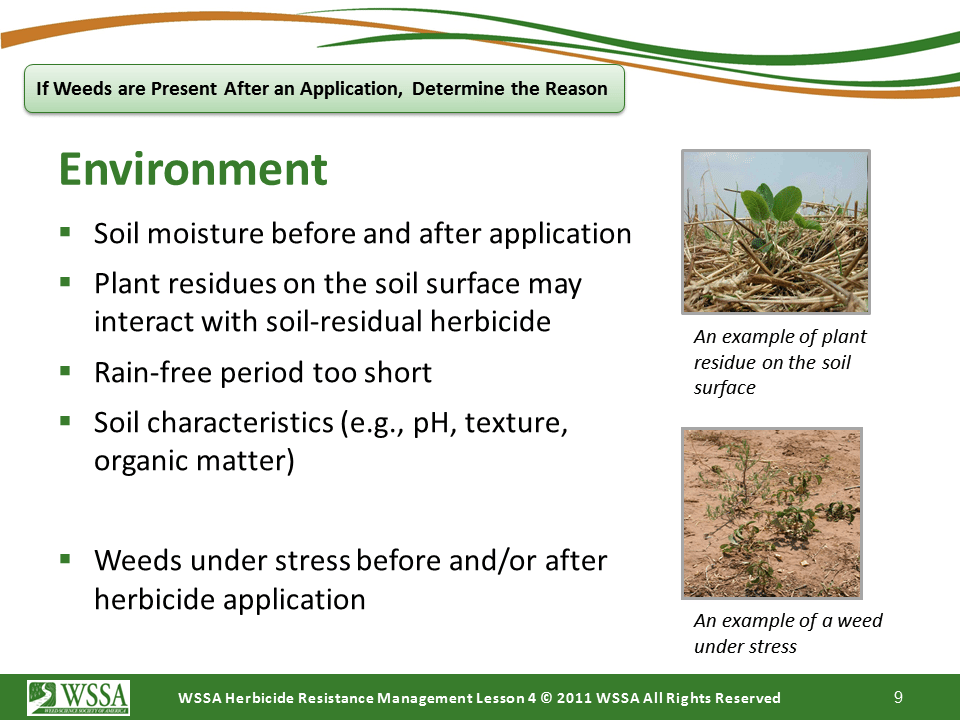 Slide9.PNG lesson4 - Scouting After a Herbicide Application and Confirming Herbicide Resistance