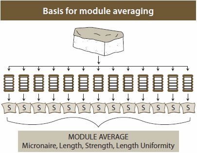 classification module averaging - Classification of Upland Cotton