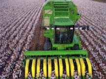 cottonseed combine - Cottonseed Goes with the Flow