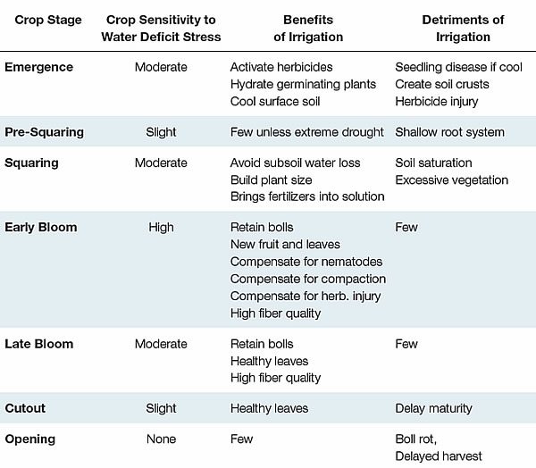 irrigate management 1 - Management Considerations for Irrigated Cotton