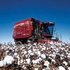 Harvest Systems
