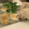 2012 Breeding Cotton for Resistance to Fusarium and Nematodes Meeting
