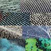 Cotton Innovations II