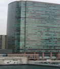 hongkong hongkong