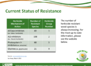 WSSA Lesson1 Slide10 180x130 - Current Status of Herbicide Resistance in Weeds