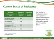 WSSA Lesson1 Slide10 180x130 - Herbicide-resistant Weeds Training Lessons