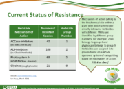 WSSA Lesson1 Slide11 180x130 - Current Status of Herbicide Resistance in Weeds