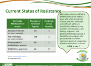 WSSA Lesson1 Slide11 180x130 - Herbicide-resistant Weeds Training Lessons