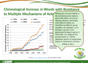 WSSA Lesson1 Slide13 180x130 - Current Status of Herbicide Resistance in Weeds