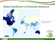 WSSA Lesson1 Slide14 180x130 - Current Status of Herbicide Resistance in Weeds