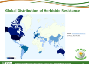 WSSA Lesson1 Slide14 180x130 - Herbicide-resistant Weeds Training Lessons