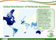 WSSA Lesson1 Slide15 180x130 - Current Status of Herbicide Resistance in Weeds