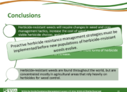 WSSA Lesson1 Slide16 180x130 - Current Status of Herbicide Resistance in Weeds