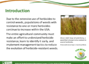 WSSA Lesson1 Slide3 180x130 - Current Status of Herbicide Resistance in Weeds