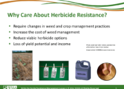 WSSA Lesson1 Slide5 180x130 - Current Status of Herbicide Resistance in Weeds