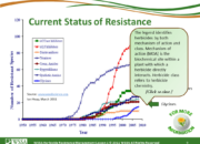 WSSA Lesson1 Slide9 180x130 - Current Status of Herbicide Resistance in Weeds