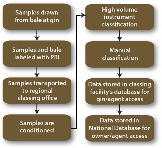 classification flowchart - Overview