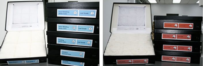 classification grades standards - Maintaining Official Standards for Classification classification grades standards - Maintaining Official Standards for Classification