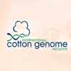 International Cotton Genone Initiative (ICGI) Conference