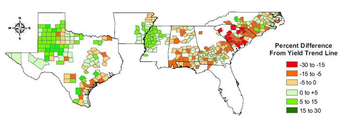 ENSO 2 - ENSO and Cotton Yield Variability