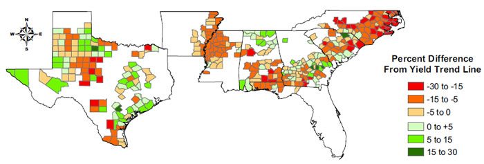 ENSO 4 - ENSO and Cotton Yield Variability ENSO 4 - ENSO and Cotton Yield Variability