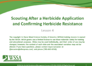 Slide1.PNG lesson4 180x130 - Herbicide-resistant Weeds Training Lessons