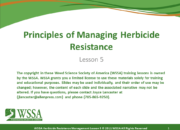 Slide1.PNG lesson5 180x130 - Principles of Managing Herbicide Resistance