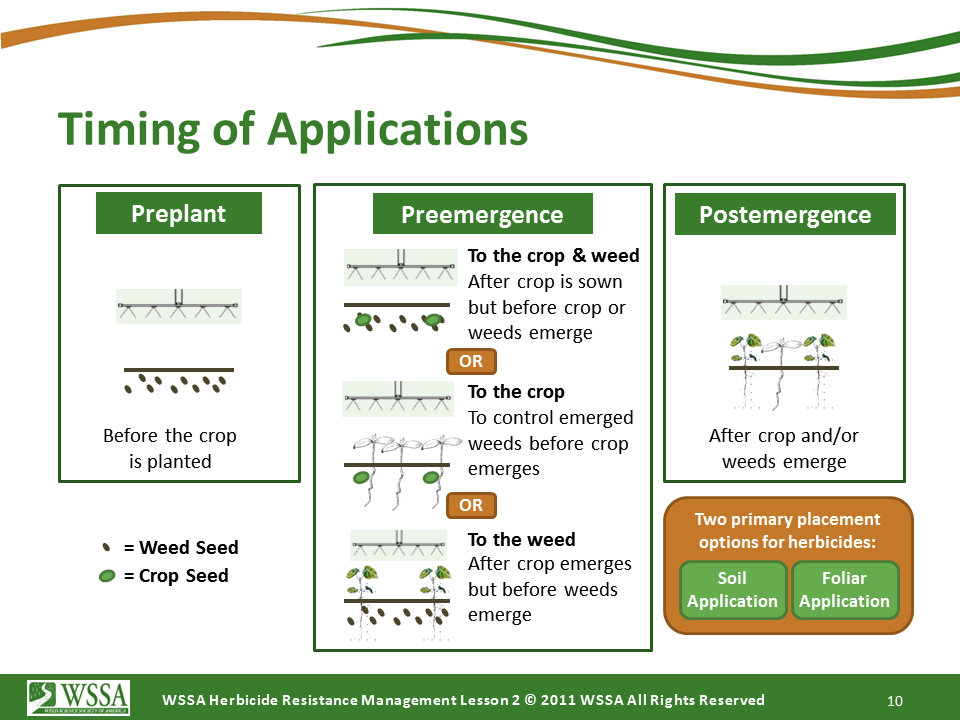 Slide10.PNG lesson2 - How Herbicides Work