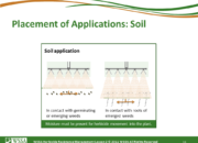 Slide11.PNG lesson2 180x130 - Herbicide-resistant Weeds Training Lessons