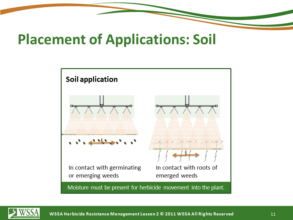 Slide11.PNG lesson2 - How Herbicides Work