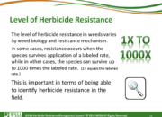 Slide11.PNG lesson3 180x130 - Herbicide-resistant Weeds Training Lessons