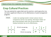 Slide11.PNG lesson4 180x130 - Scouting After a Herbicide Application and Confirming Herbicide Resistance