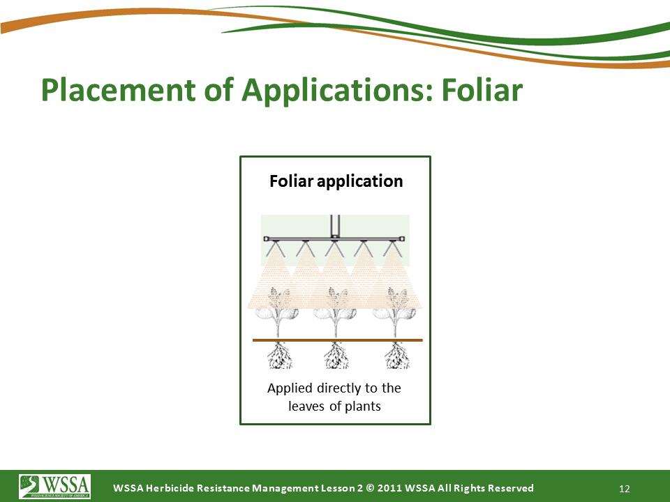 Slide12.PNG lesson2 - How Herbicides Work