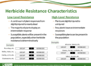Slide12.PNG lesson3 180x130 - Herbicide-resistant Weeds Training Lessons