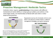 Slide12.PNG lesson5 180x130 - Principles of Managing Herbicide Resistance